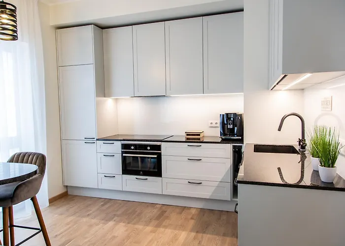 Modern Niidu Parnawa